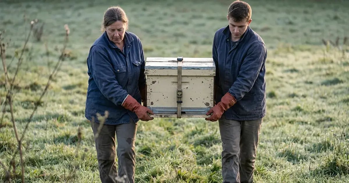 Two beekeepers carrying one closed strapped hive together through wet grass at dawn